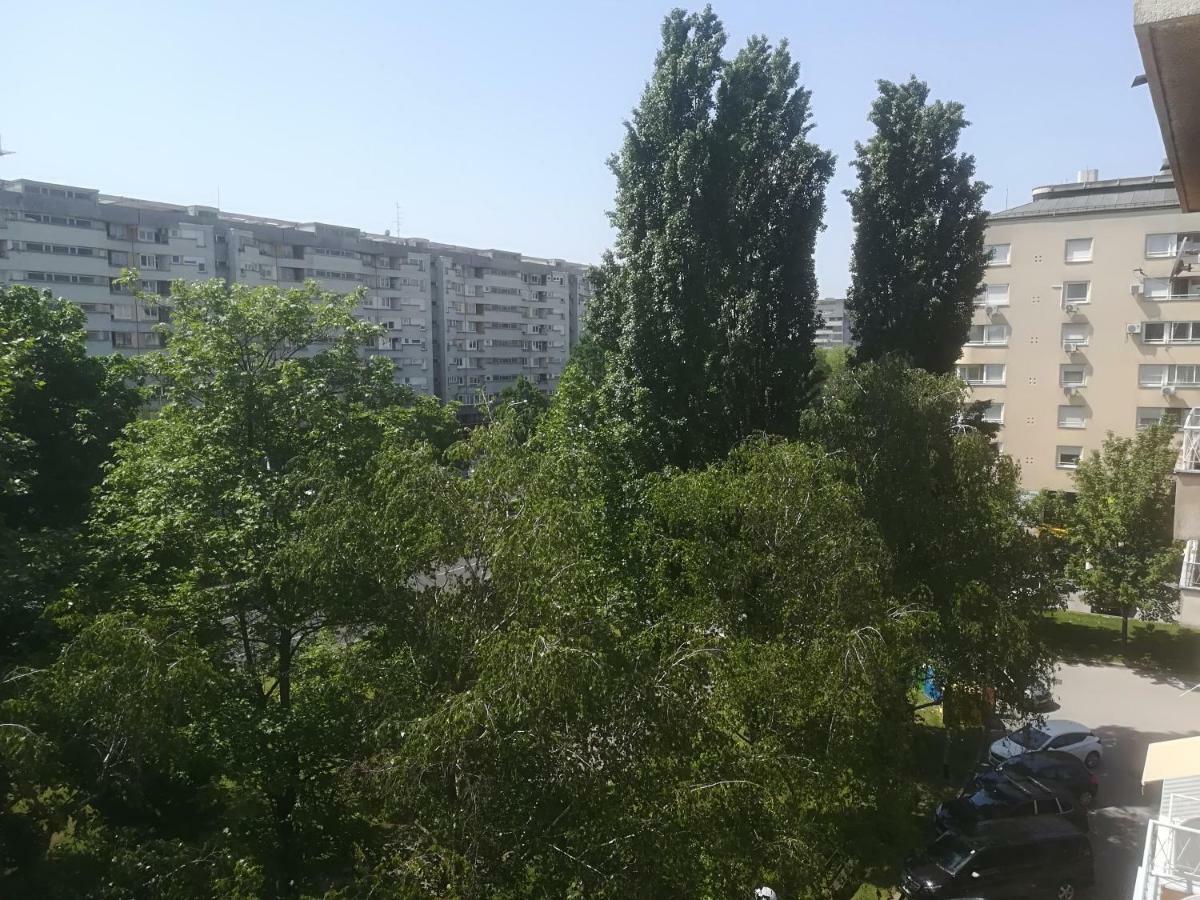 Meridian , 300m To Bus Terminal, Fast Wifi & Airport Transf *